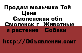 Продам мальчика Той › Цена ­ 6 000 - Смоленская обл., Смоленск г. Животные и растения » Собаки   